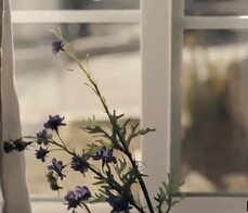 Swapped stepdaughter ends up in crazy family situation