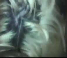 Super hot amateur slut sucking cock