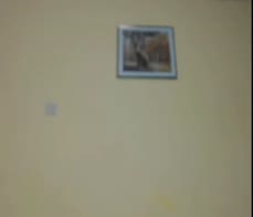 Oiled Up Teen masturbating with her toy