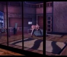 Sesenta y nueve de trans tridimensionales