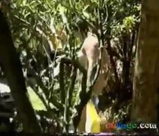 Chubby girl walking nude in the camping