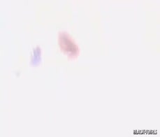 BLACK TGIRLS - Paris Wants To Fuck Hard By Stranger