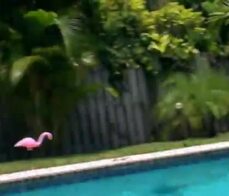 Teen girlfriends hot summer fuck outdoor with the boyfriend