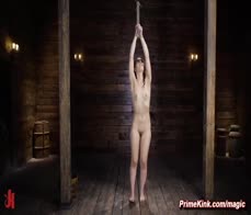 Small tits babe Aria Lee bound and whipped