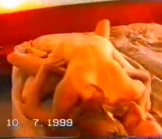 Fucking in the middle of the party