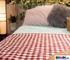 Petite gf gets her hairy pussy eaten out during facesitting