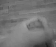 Previo a follar vagina en tubo