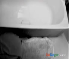 Small titted girl wanks on toilet-hidden