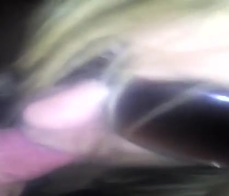 Chica chupando polla en el coche