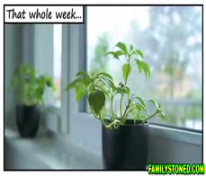 Nicole Rae kneels for Jay Romero to fuck her pretty face hard and deep