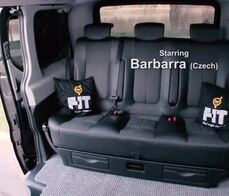 FUCKED IN TRAFFIC - Brunette Czech babe gets banged in the backseat of the car