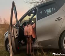 Picked up babe gets fucked by the car