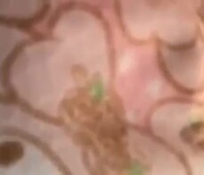 Self-photographing masturbation