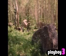 All natural MILF model shows stunning body during hot posing in lingerie