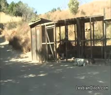 Lesbian teen scissoring in the motel room