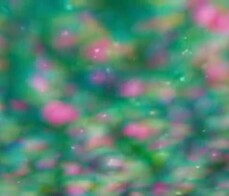 Holly sucks cock twice