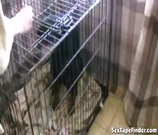 Janice gets tits out in POV while gobbling cock